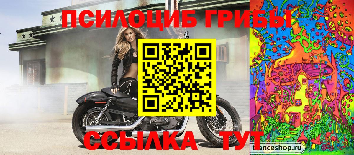 Ялта  Галлюциногенные грибы Psilocybine cubensis  Вход с VPN 
